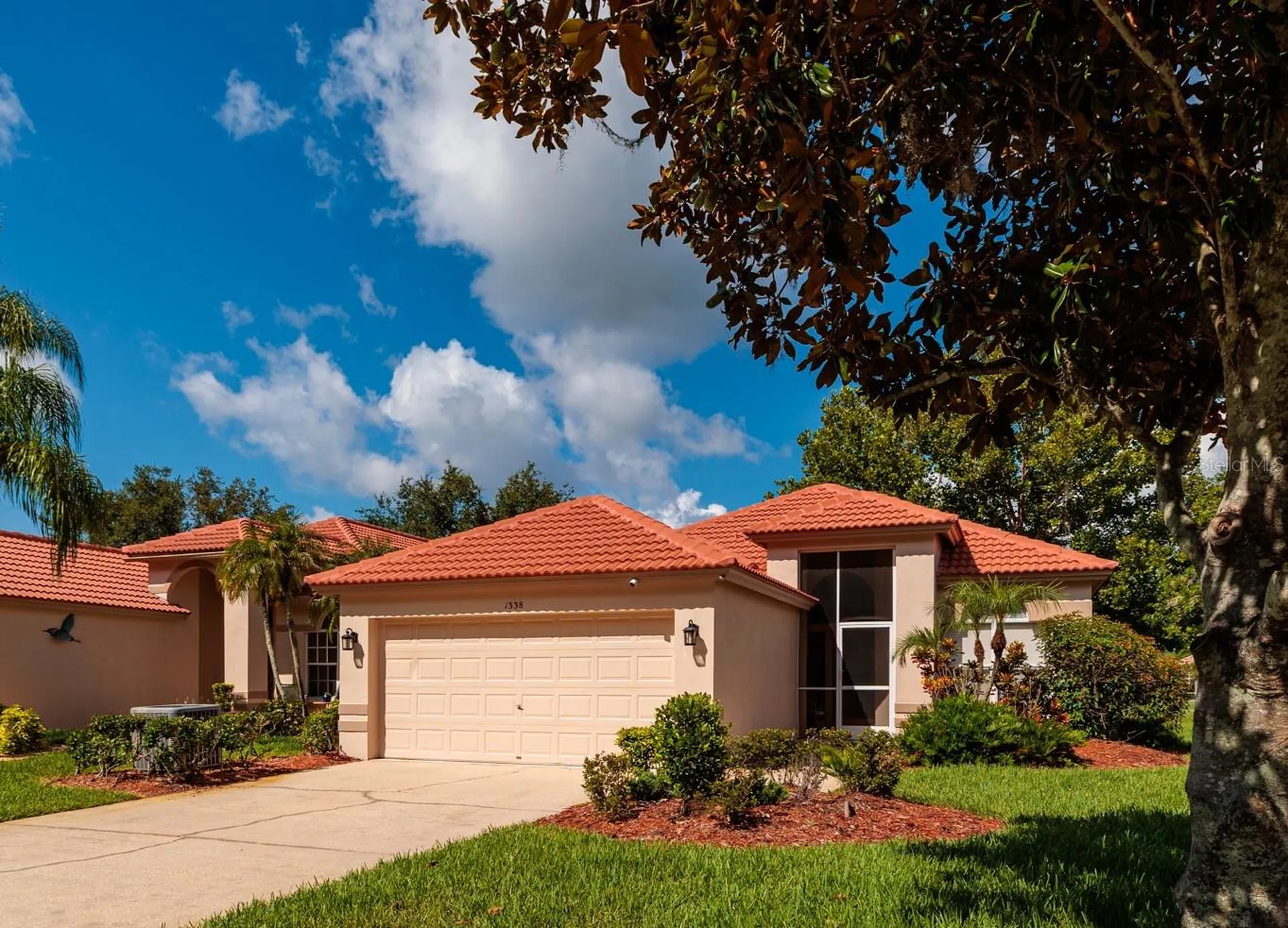 1338 Dartford Drive Tarpon Springs FL 34688
