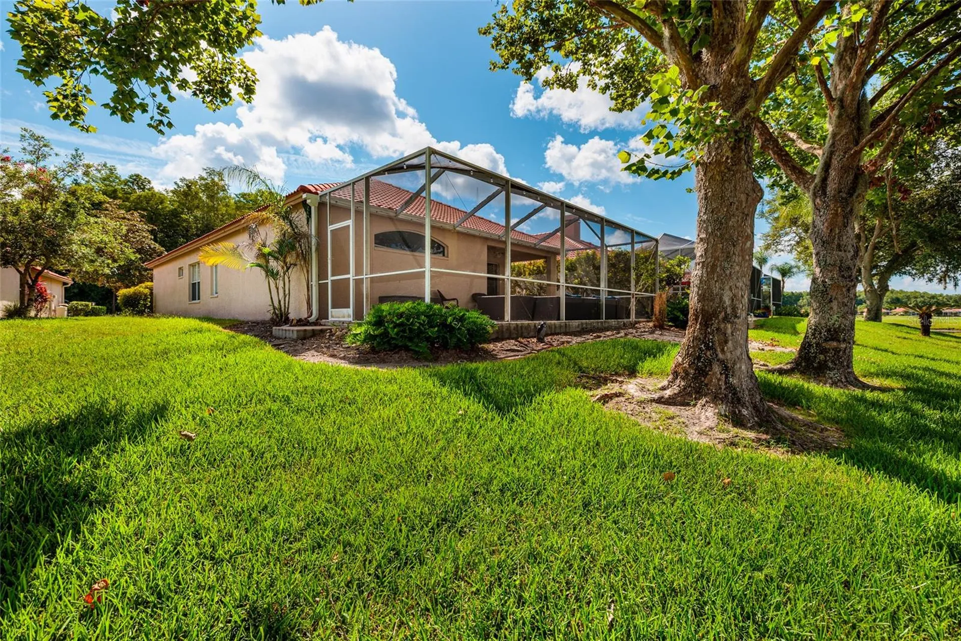 1338 Dartford Drive Tarpon Springs FL 34688