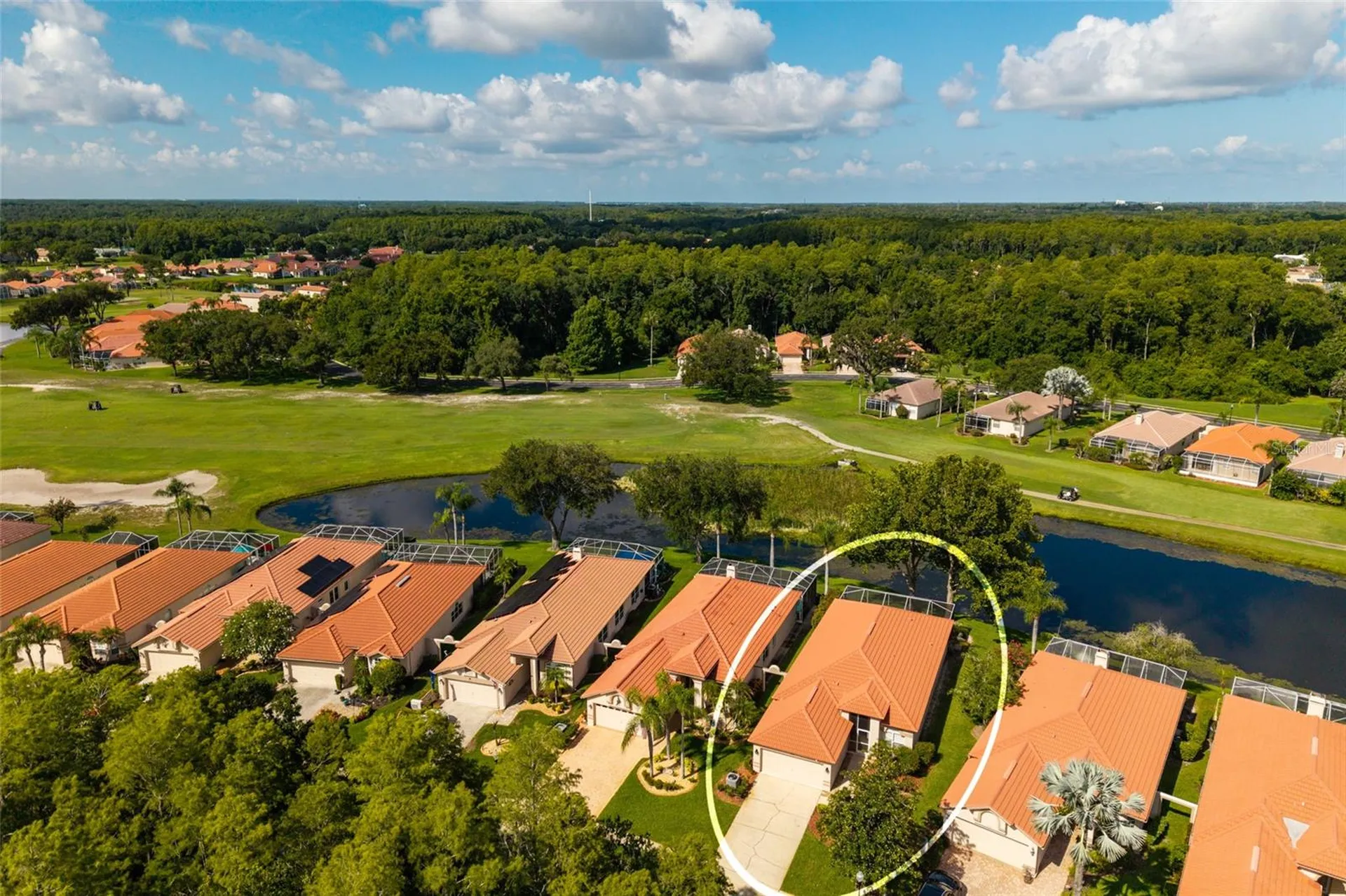 1338 Dartford Drive Tarpon Springs FL 34688