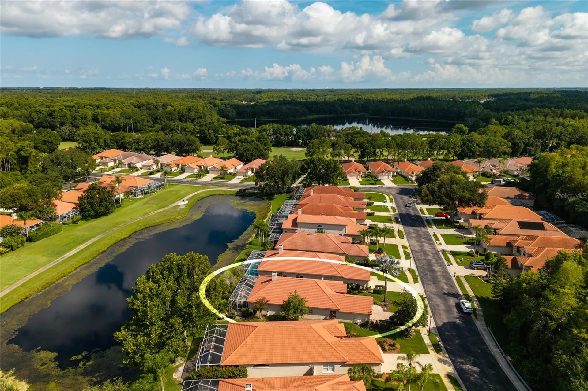 1338 Dartford Drive Tarpon Springs FL 34688