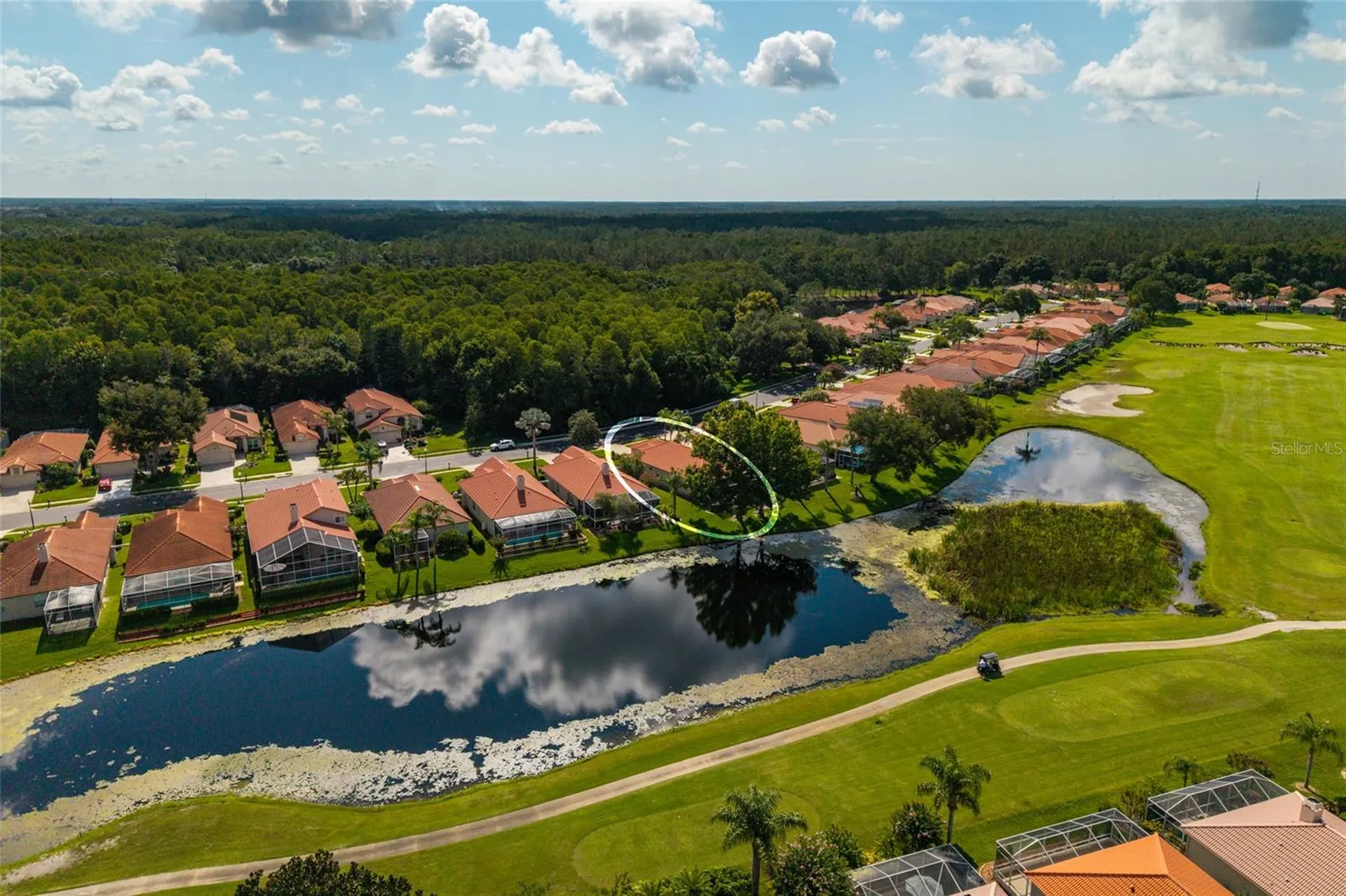 1338 Dartford Drive Tarpon Springs FL 34688