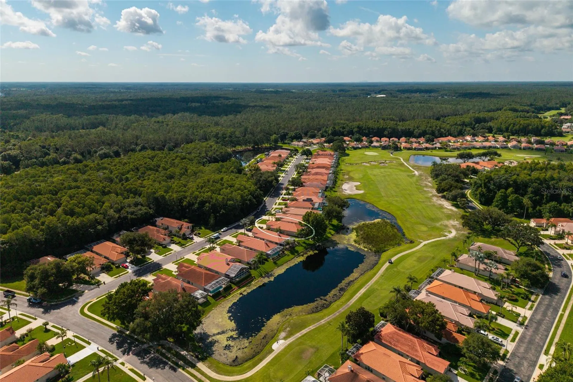 1338 Dartford Drive Tarpon Springs FL 34688