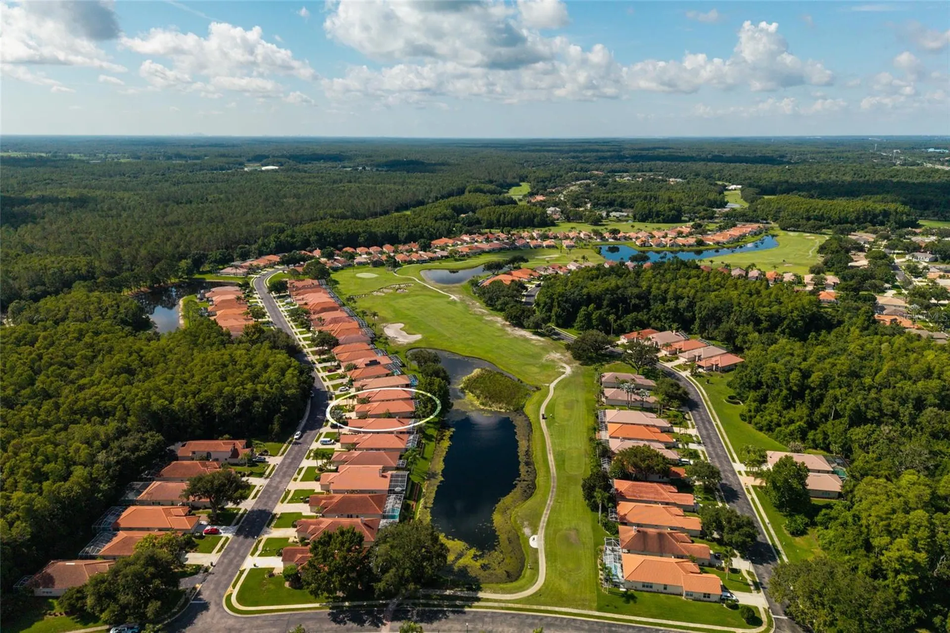 1338 Dartford Drive Tarpon Springs FL 34688
