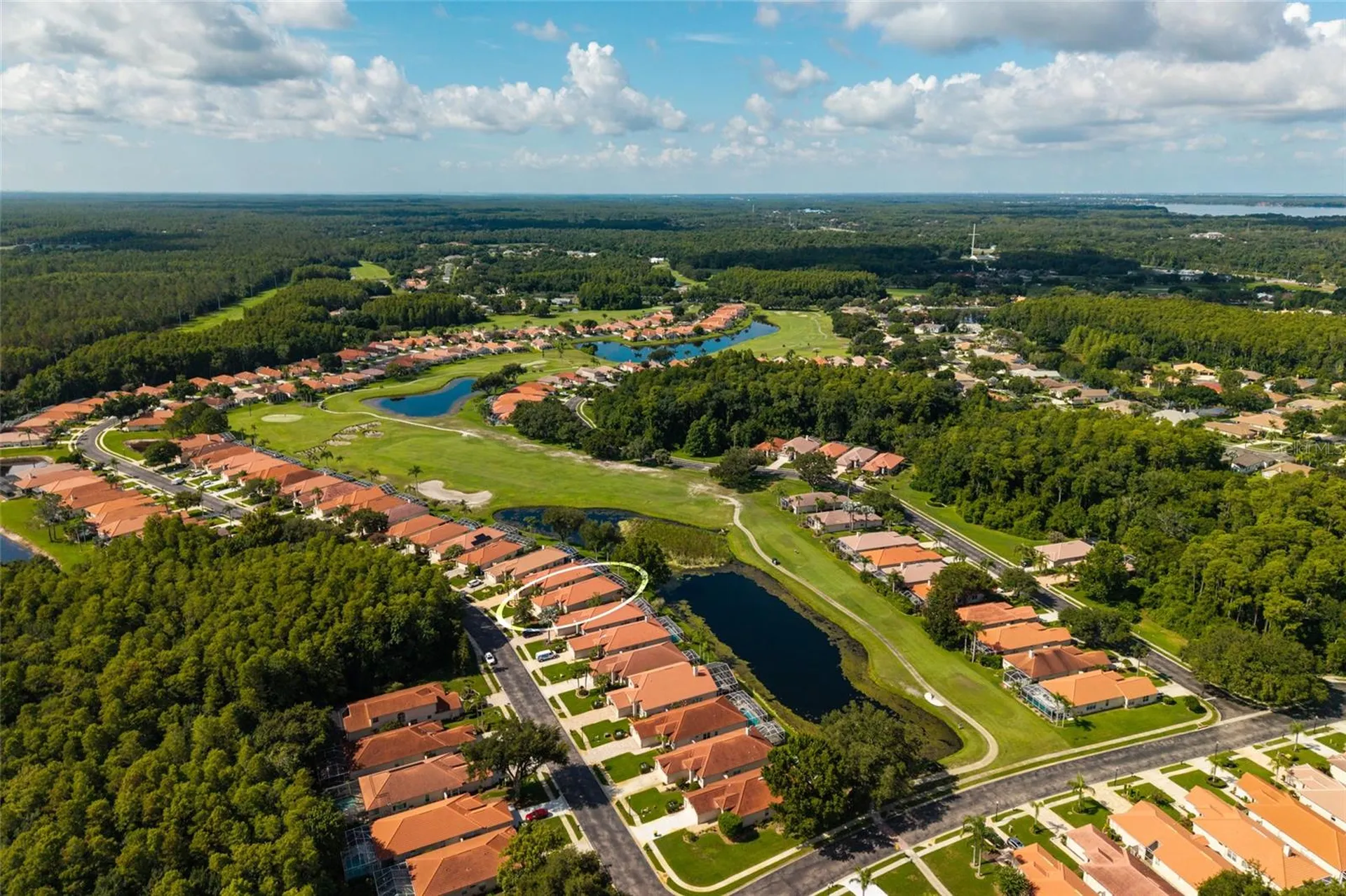1338 Dartford Drive Tarpon Springs FL 34688