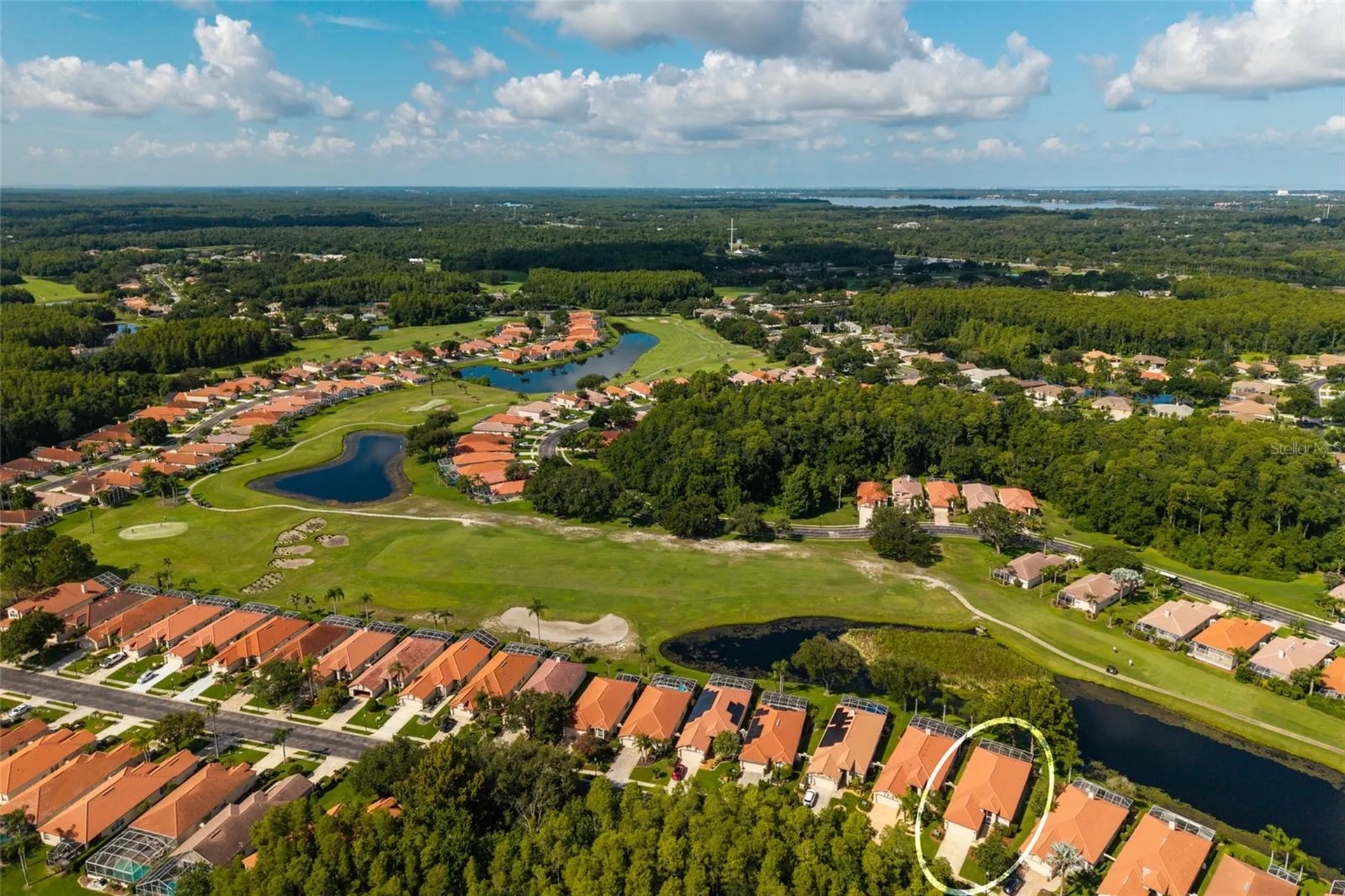 1338 Dartford Drive Tarpon Springs FL 34688