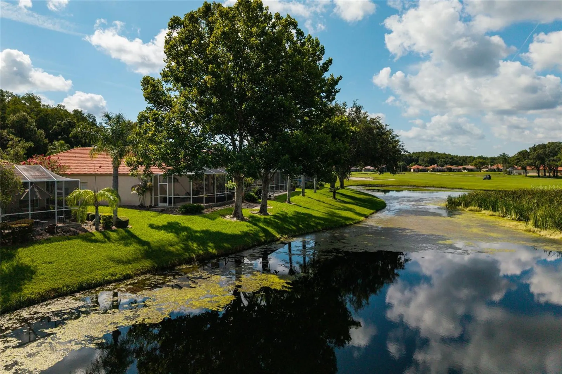 1338 Dartford Drive Tarpon Springs FL 34688