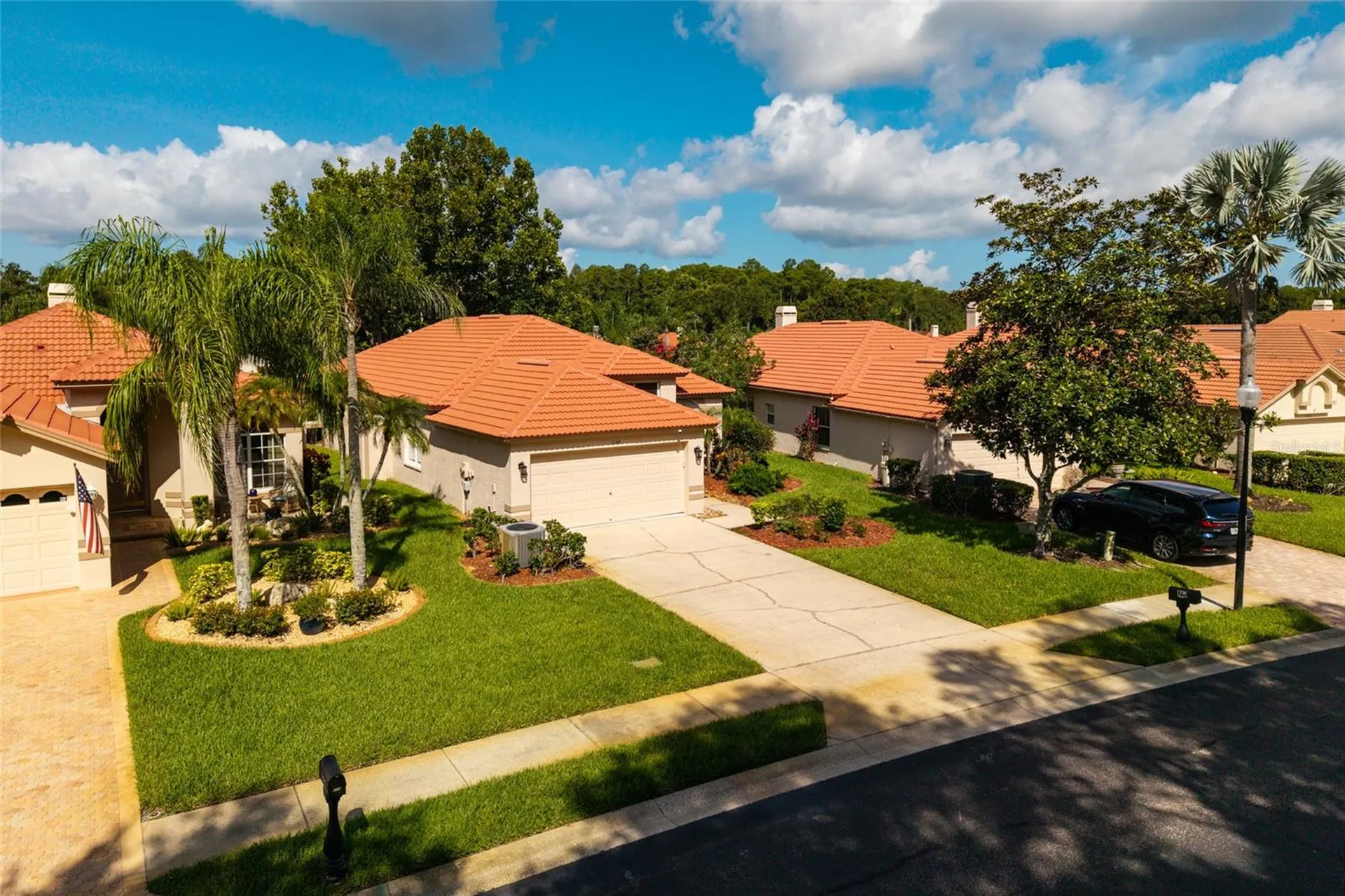 1338 Dartford Drive Tarpon Springs FL 34688