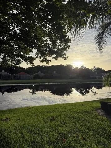 1338 Dartford Drive Tarpon Springs FL 34688
