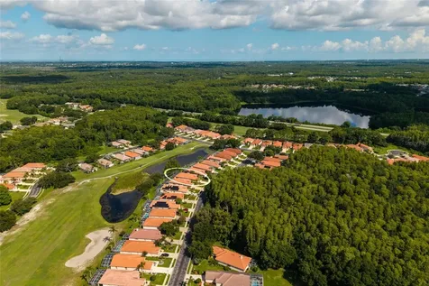 1338 Dartford Drive Tarpon Springs FL 34688