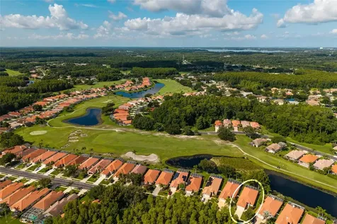 1338 Dartford Drive Tarpon Springs FL 34688
