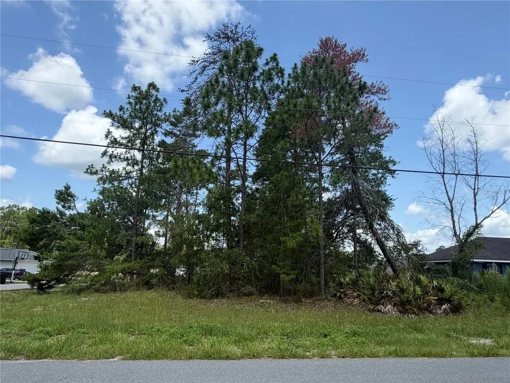 Tbd SW 63rd Terrace Ocala FL 34473
