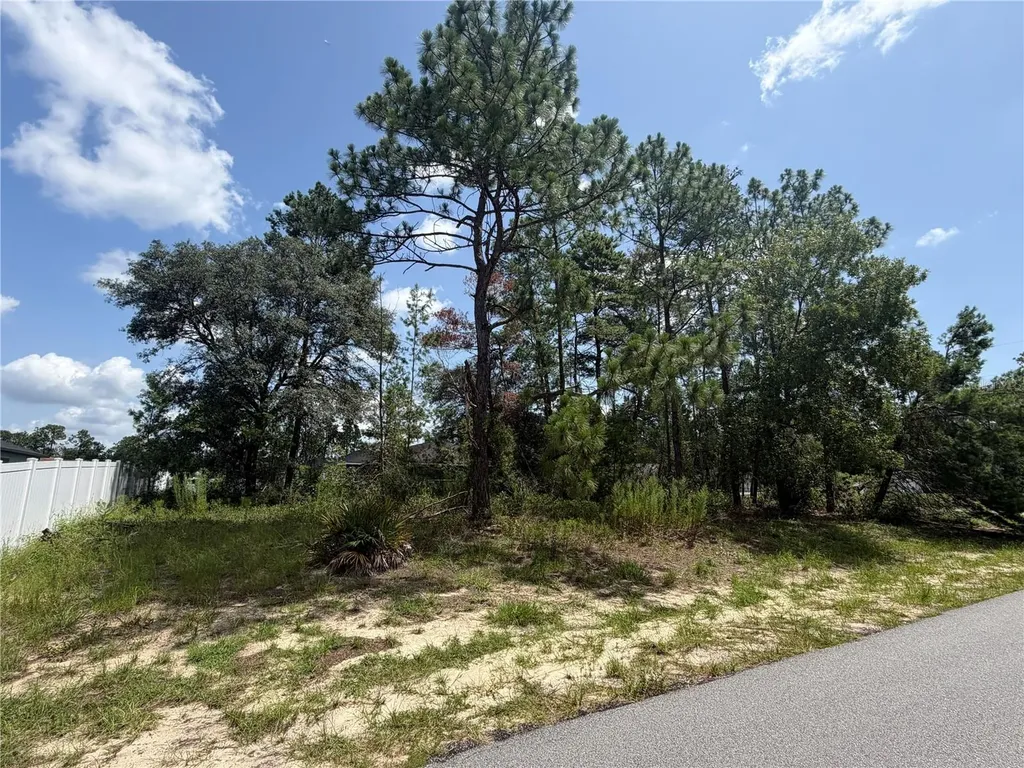 Tbd SW 63rd Terrace Ocala FL 34473