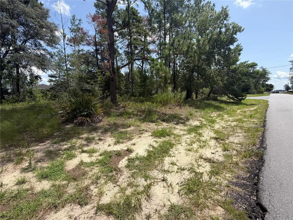 Tbd SW 63rd Terrace Ocala FL 34473