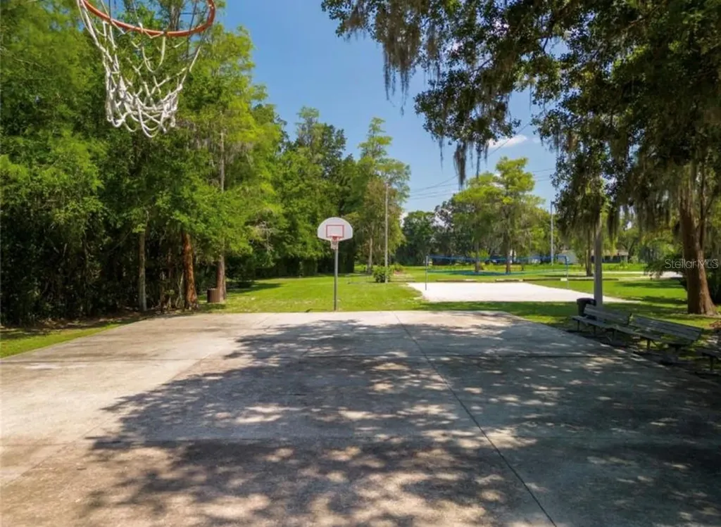 16909 Rolling Rock Drive Tampa FL 33618