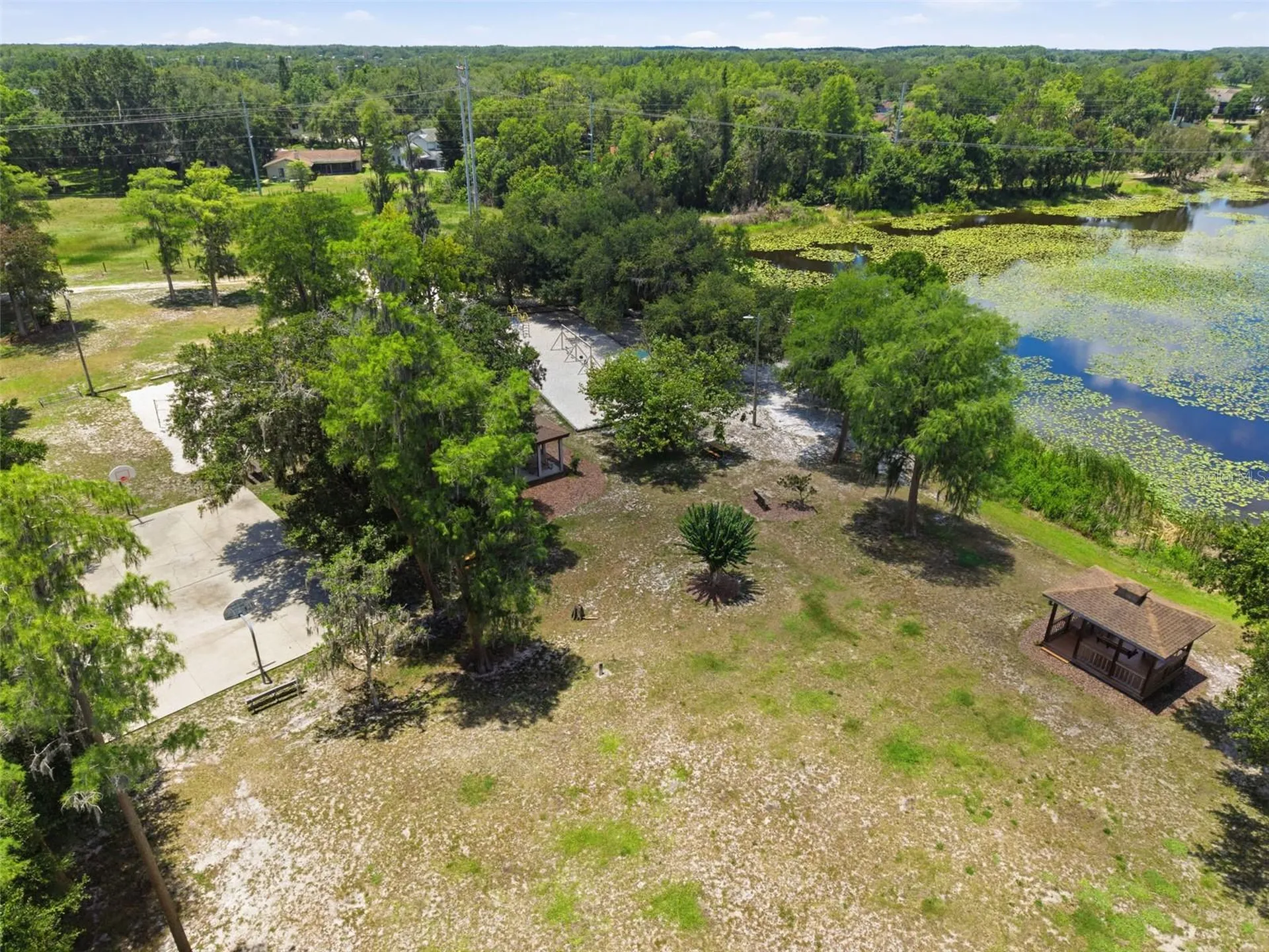 16909 Rolling Rock Drive Tampa FL 33618