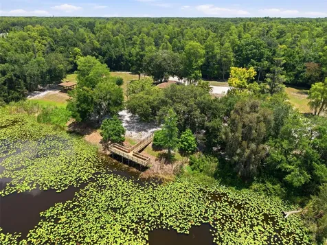 16909 Rolling Rock Drive Tampa FL 33618