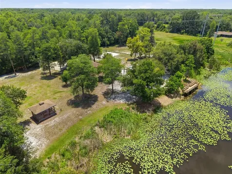 16909 Rolling Rock Drive Tampa FL 33618