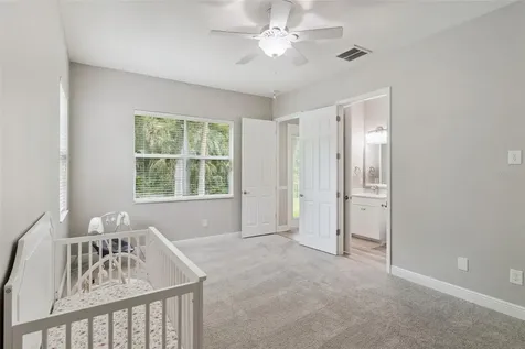 27722 Indigo Pond Court Wesley Chapel FL 33544
