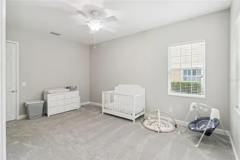 27722 Indigo Pond Court Wesley Chapel FL 33544