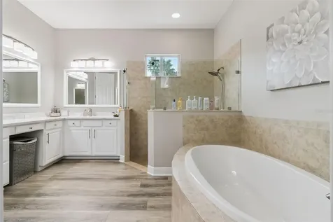 27722 Indigo Pond Court Wesley Chapel FL 33544