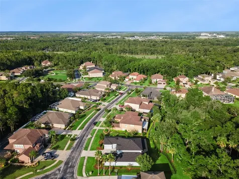 27722 Indigo Pond Court Wesley Chapel FL 33544
