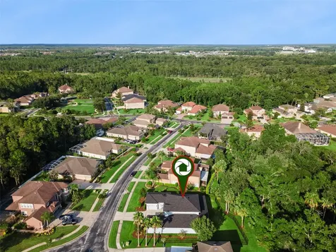 27722 Indigo Pond Court Wesley Chapel FL 33544