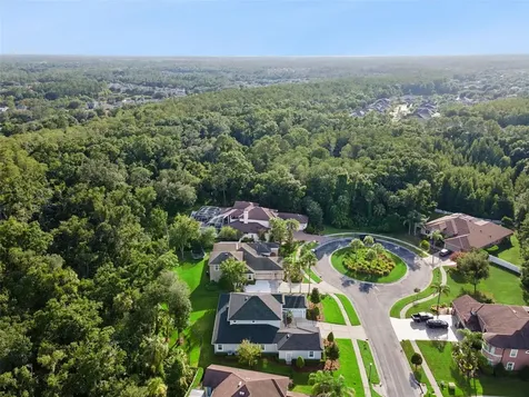 27722 Indigo Pond Court Wesley Chapel FL 33544