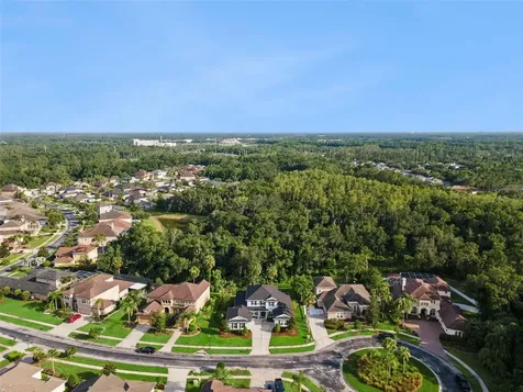 27722 Indigo Pond Court Wesley Chapel FL 33544