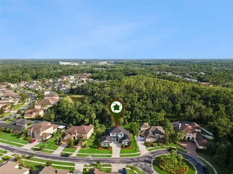 27722 Indigo Pond Court Wesley Chapel FL 33544