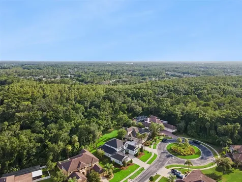 27722 Indigo Pond Court Wesley Chapel FL 33544