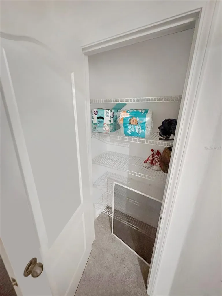 4924 Chatham Gate Drive Riverview FL 33578