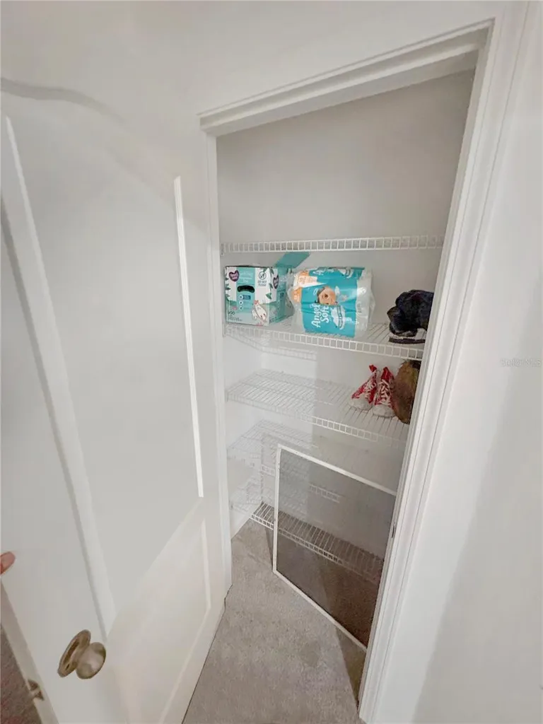 4924 Chatham Gate Drive Riverview FL 33578