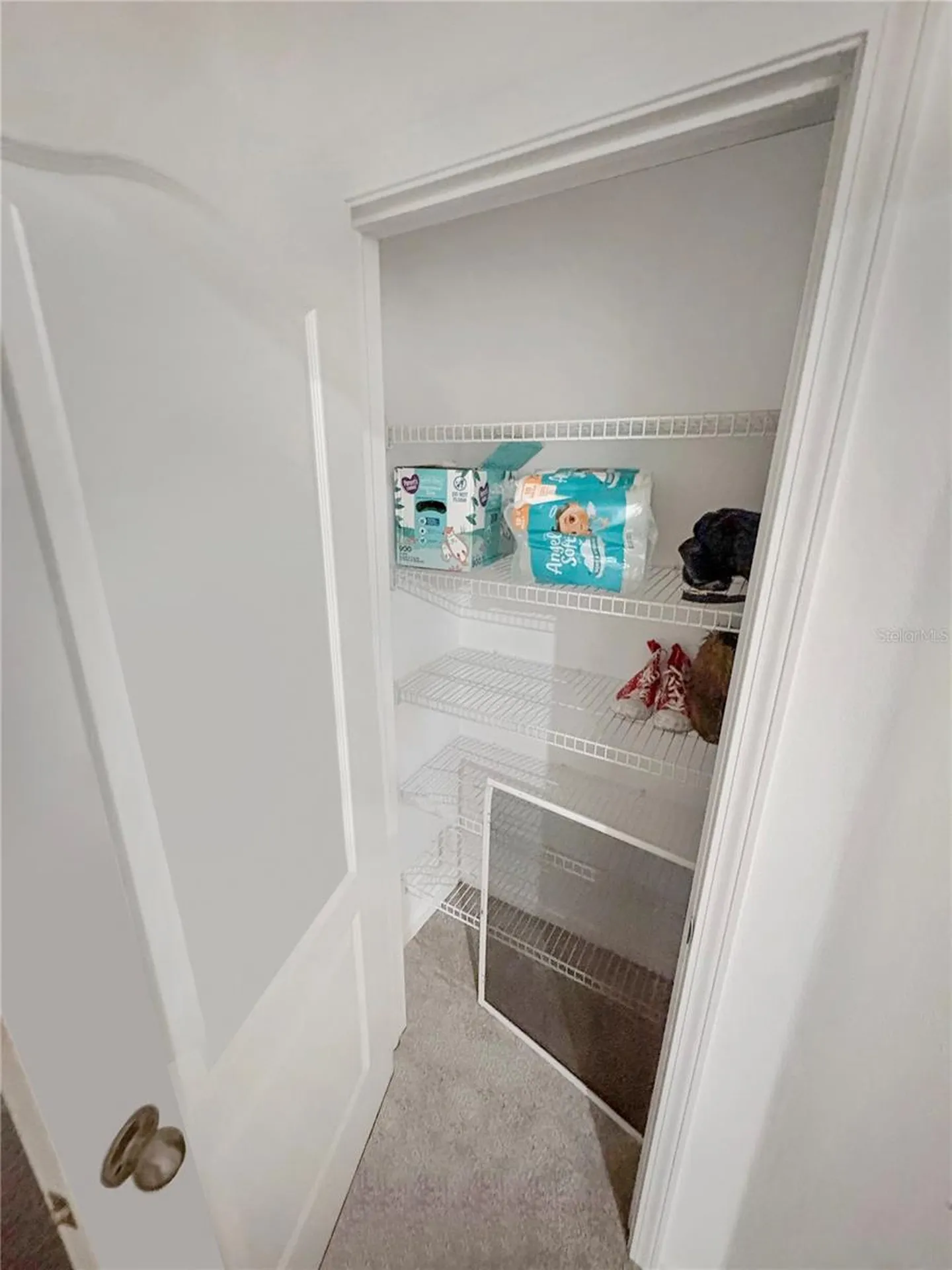 4924 Chatham Gate Drive Riverview FL 33578