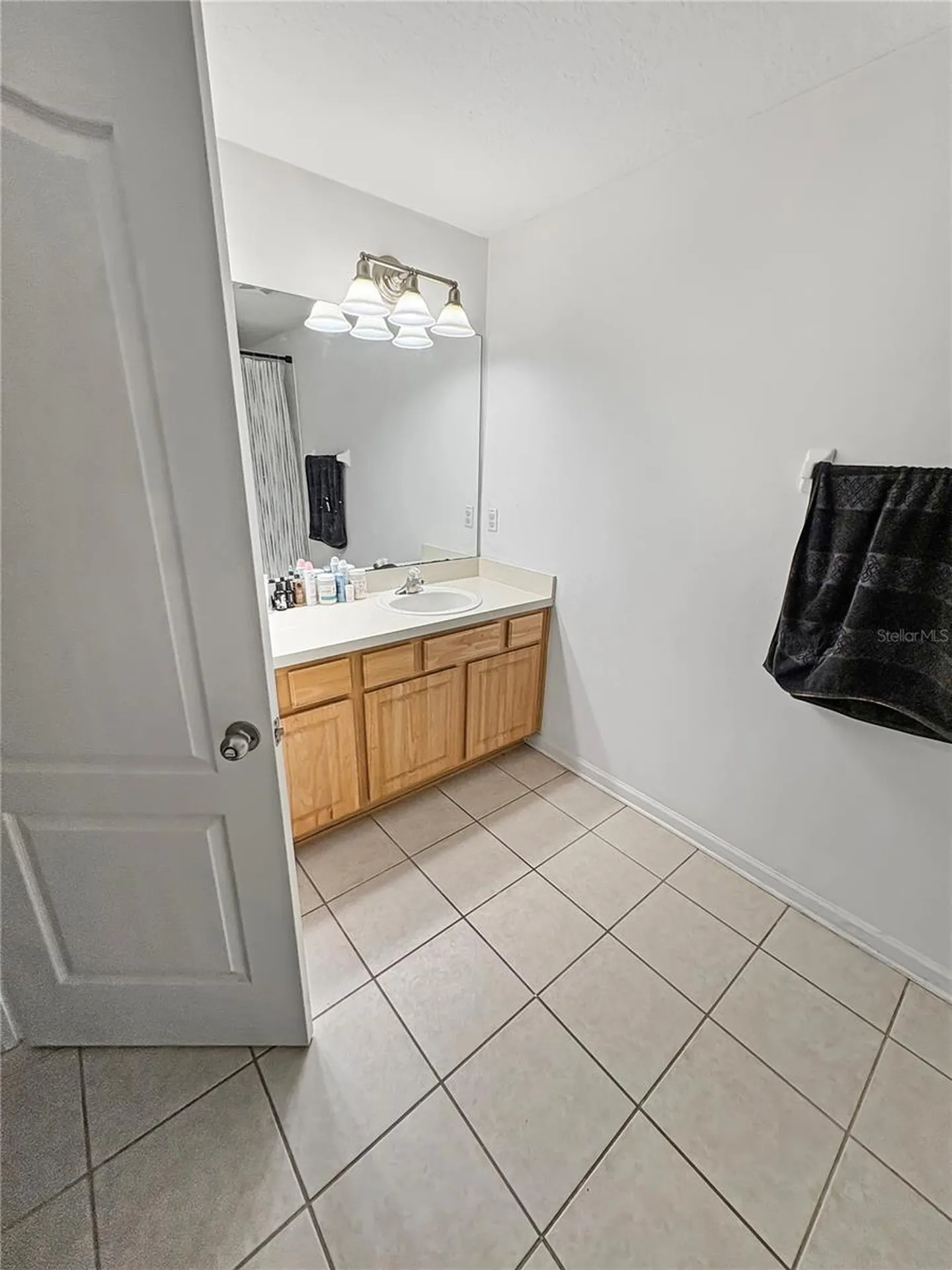 4924 Chatham Gate Drive Riverview FL 33578