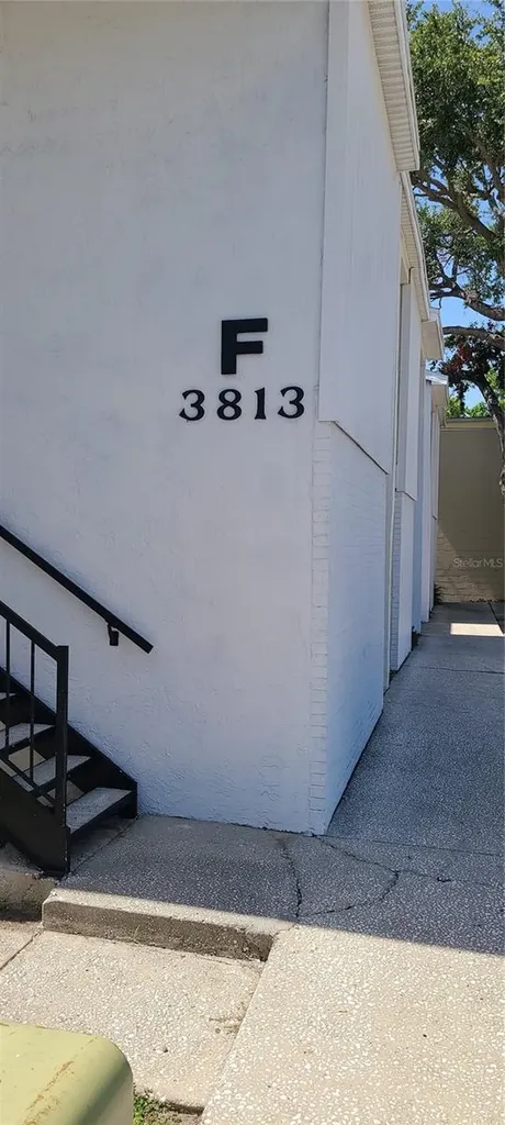 3813 N Oak Drive Tampa FL 33611