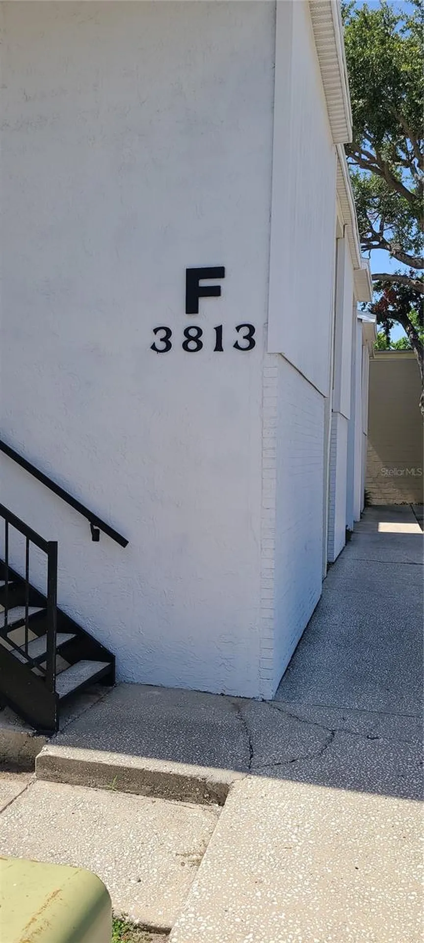 3813 N Oak Drive Tampa FL 33611