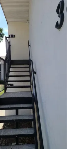 3813 N Oak Drive Tampa FL 33611