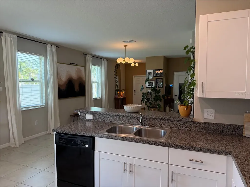 4503 Globe Thistle Drive Tampa FL 33619