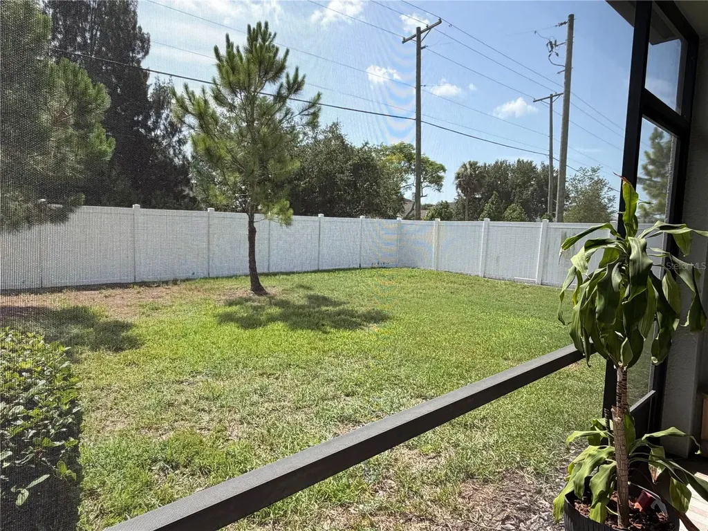 4503 Globe Thistle Drive Tampa FL 33619