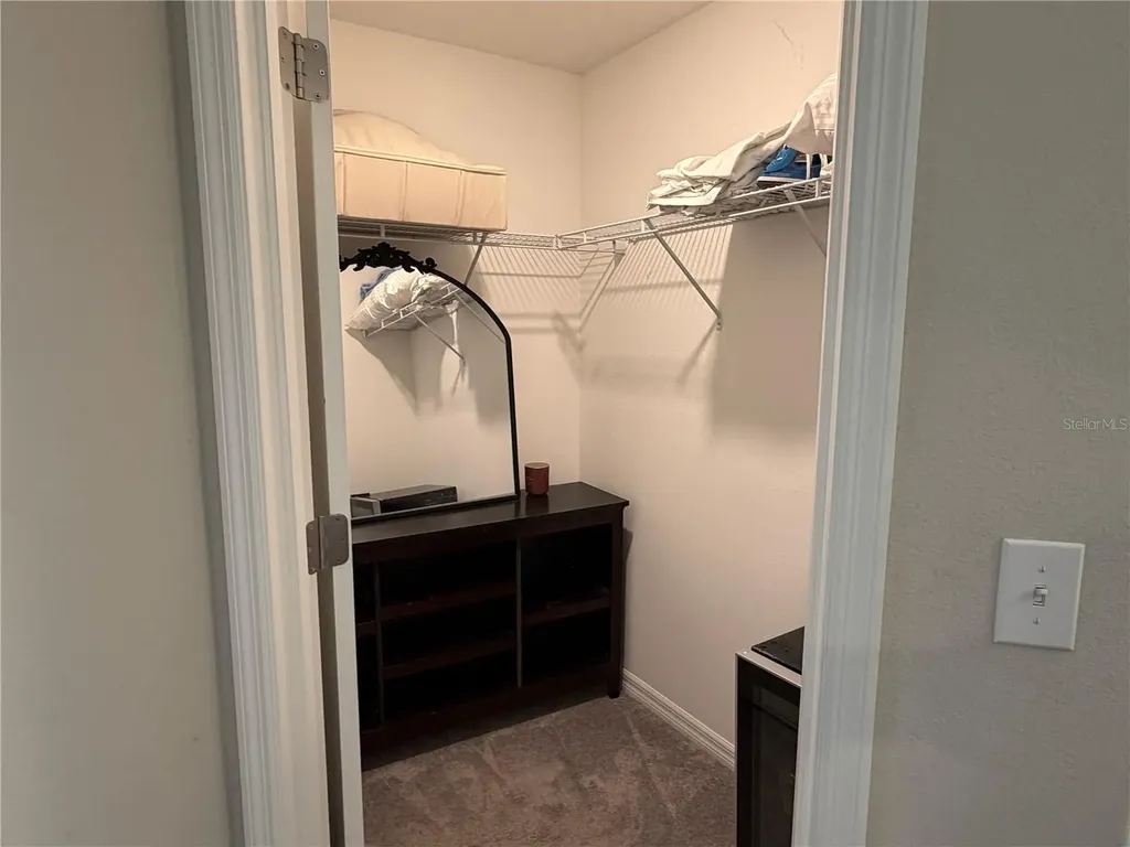 4503 Globe Thistle Drive Tampa FL 33619