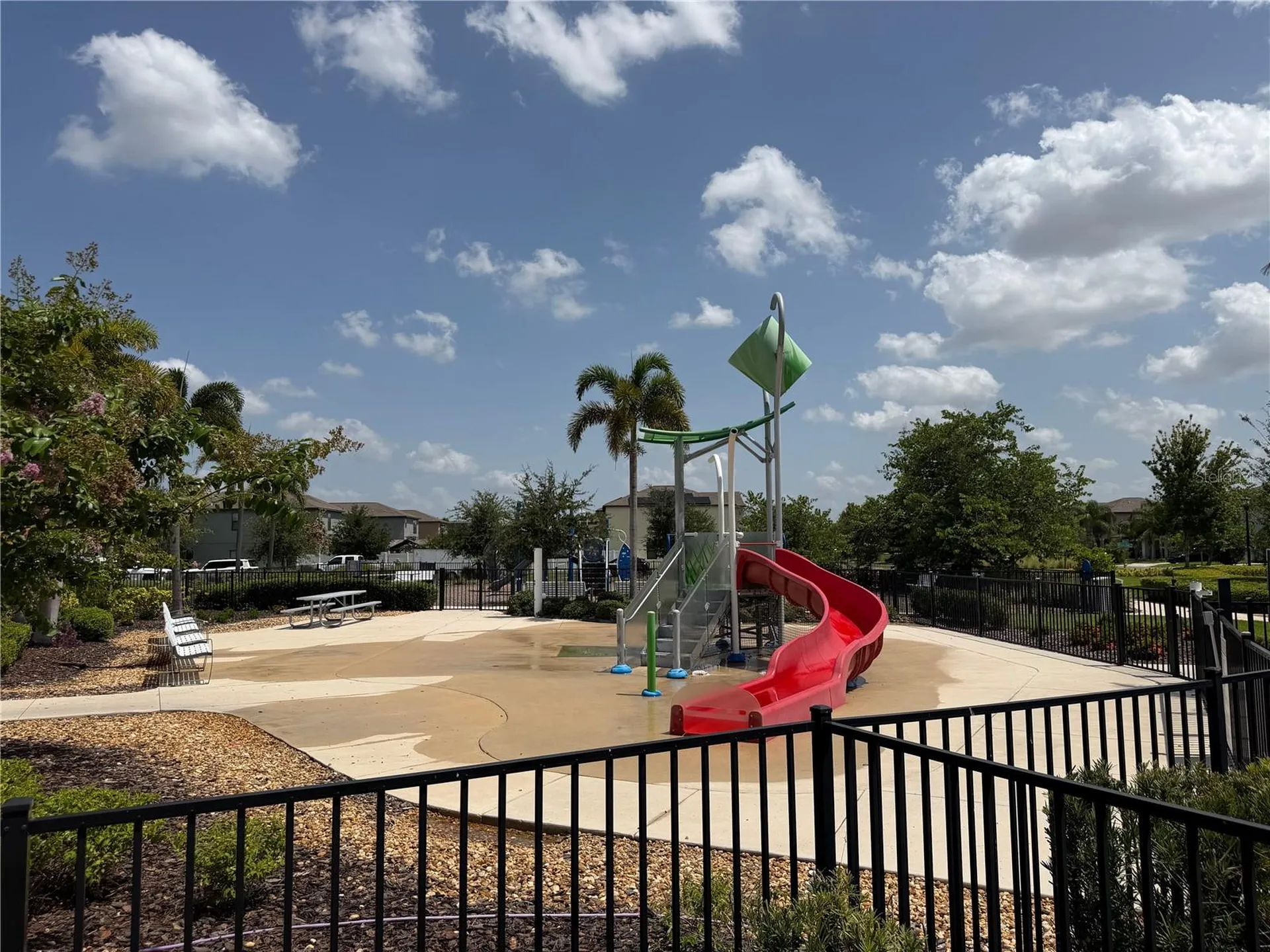 4503 Globe Thistle Drive Tampa FL 33619