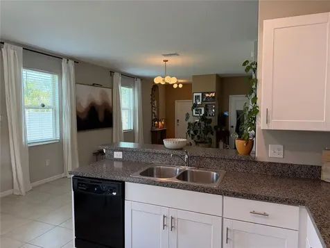4503 Globe Thistle Drive Tampa FL 33619