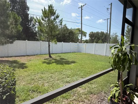 4503 Globe Thistle Drive Tampa FL 33619