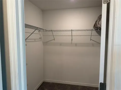 4503 Globe Thistle Drive Tampa FL 33619