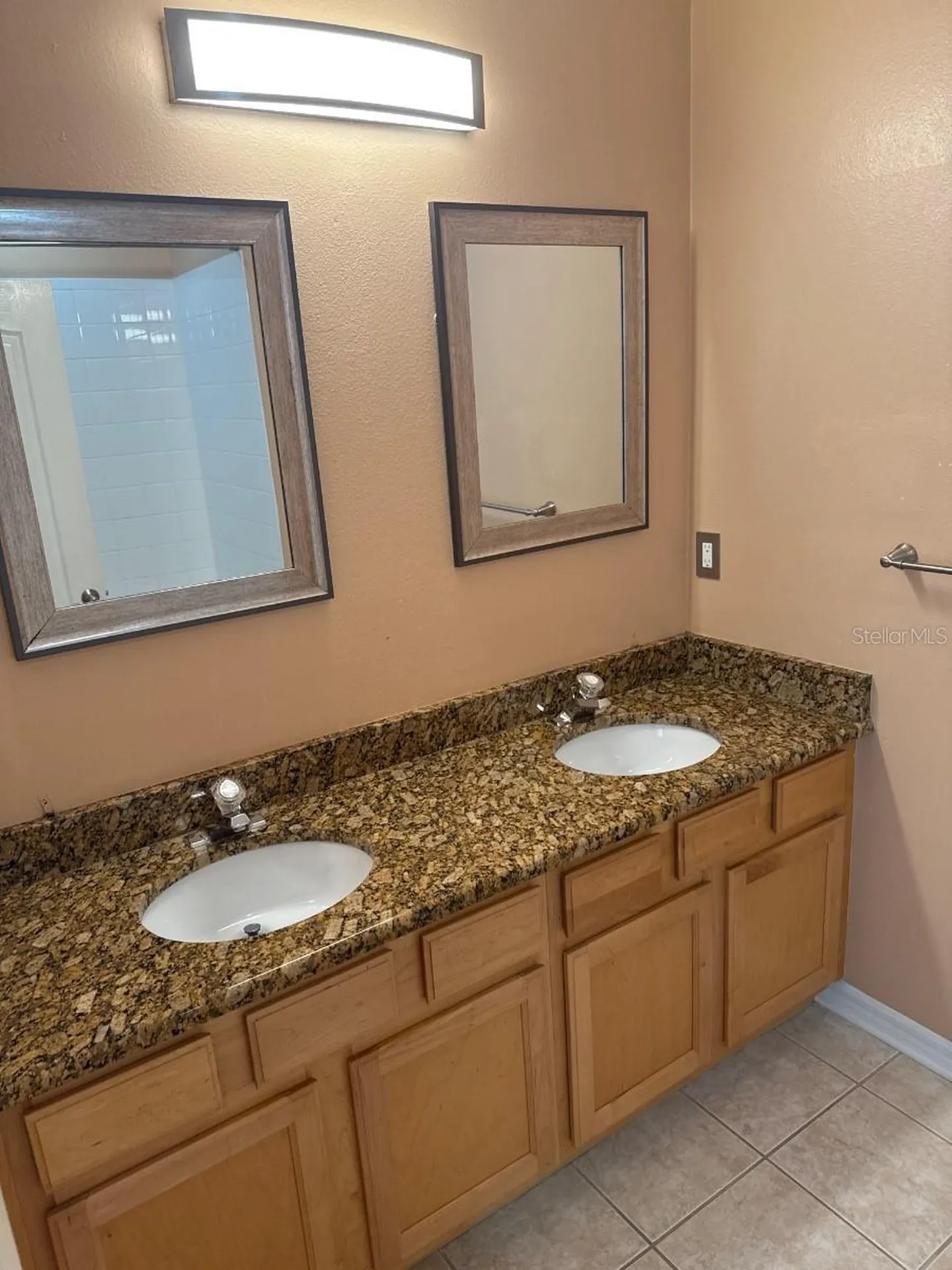 3133 Bayshore Oaks Drive Tampa FL 33611