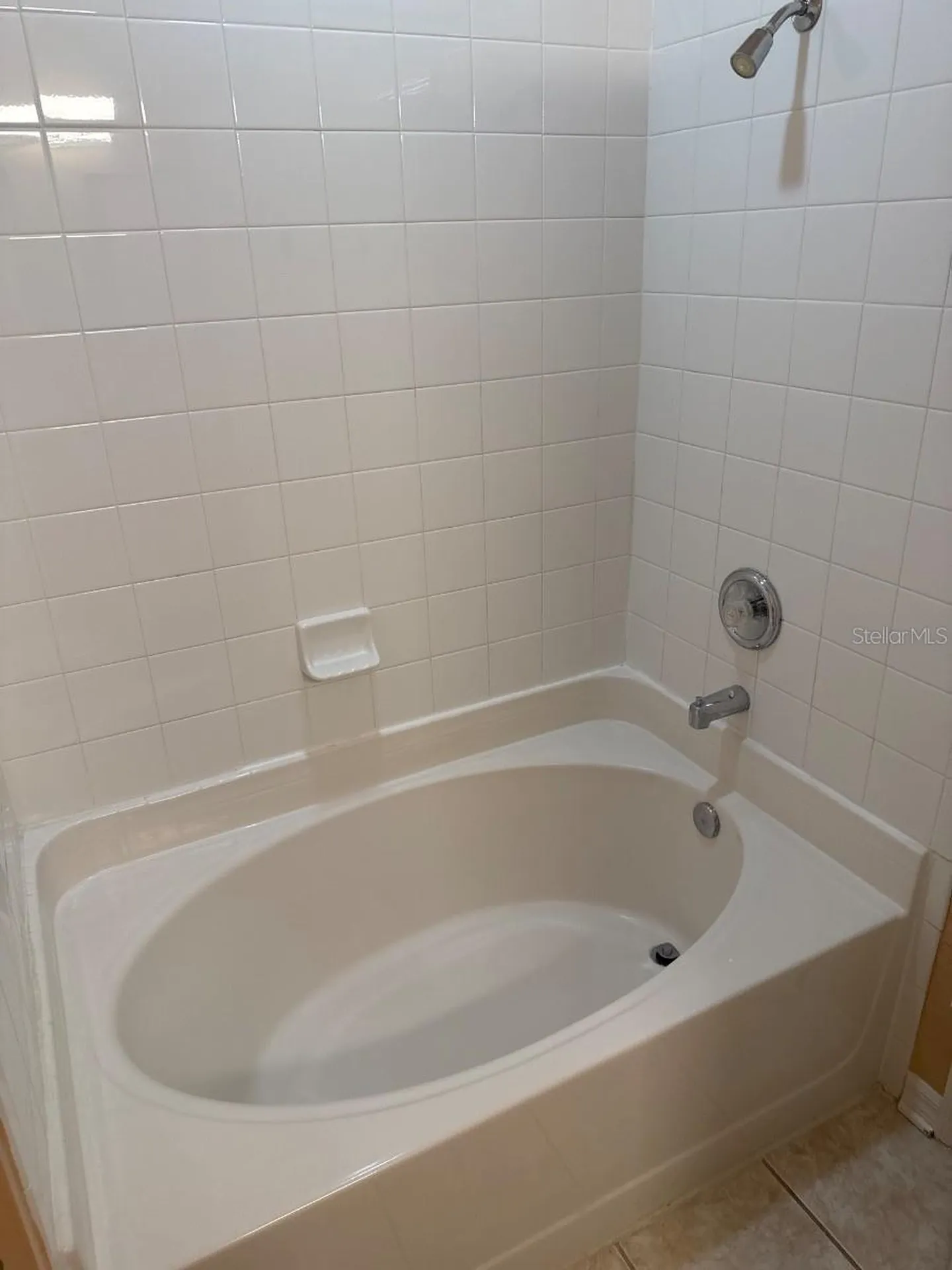 3133 Bayshore Oaks Drive Tampa FL 33611