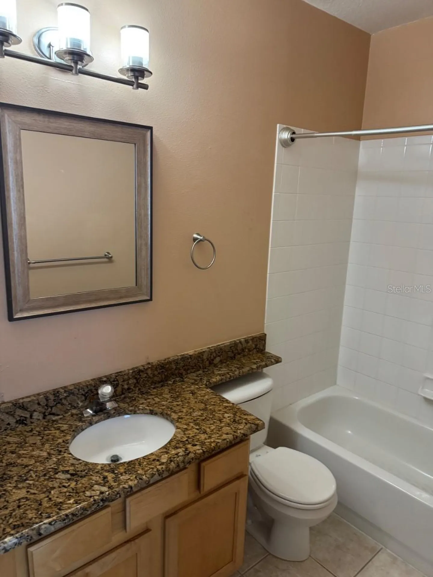 3133 Bayshore Oaks Drive Tampa FL 33611