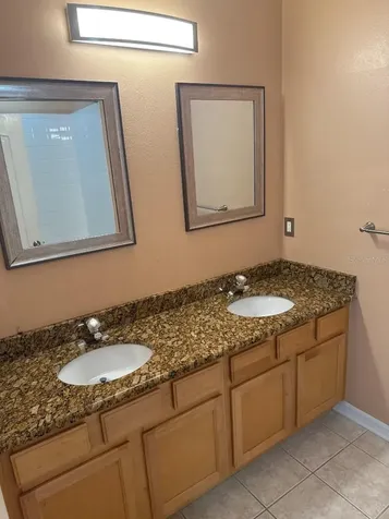 3133 Bayshore Oaks Drive Tampa FL 33611