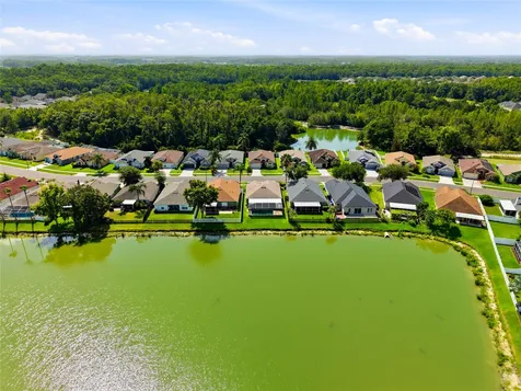 29417 Crossland Drive Wesley Chapel FL 33543