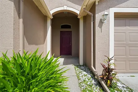 29417 Crossland Drive Wesley Chapel FL 33543